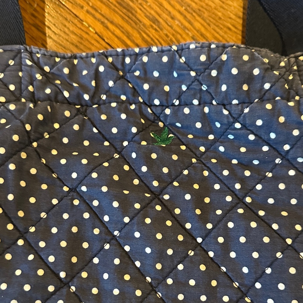 Aerie Navy Polka Dot Bag! - Picture 3 of 8